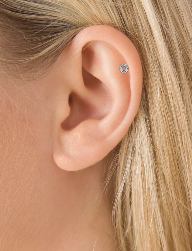 Diamond Micropavé Circle Threaded Stud Earring With Titanium Backing - Image 4