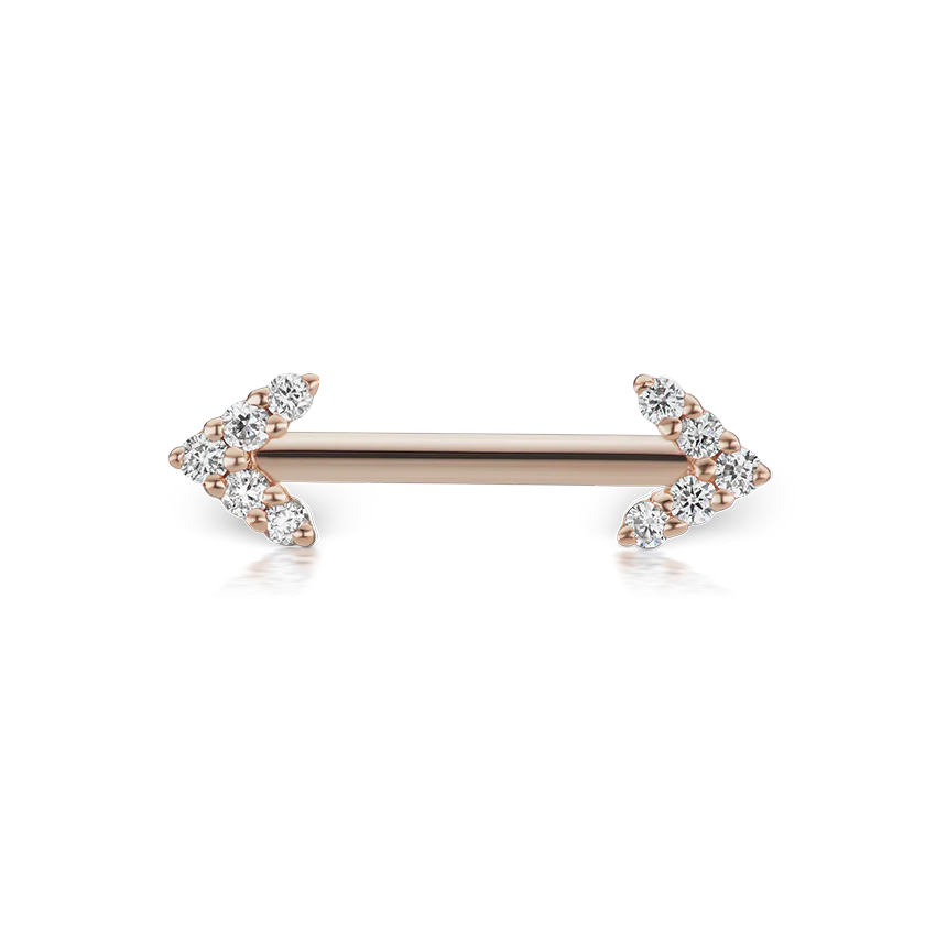 Double Diamond Arrow Nipple Barbell - Image 100