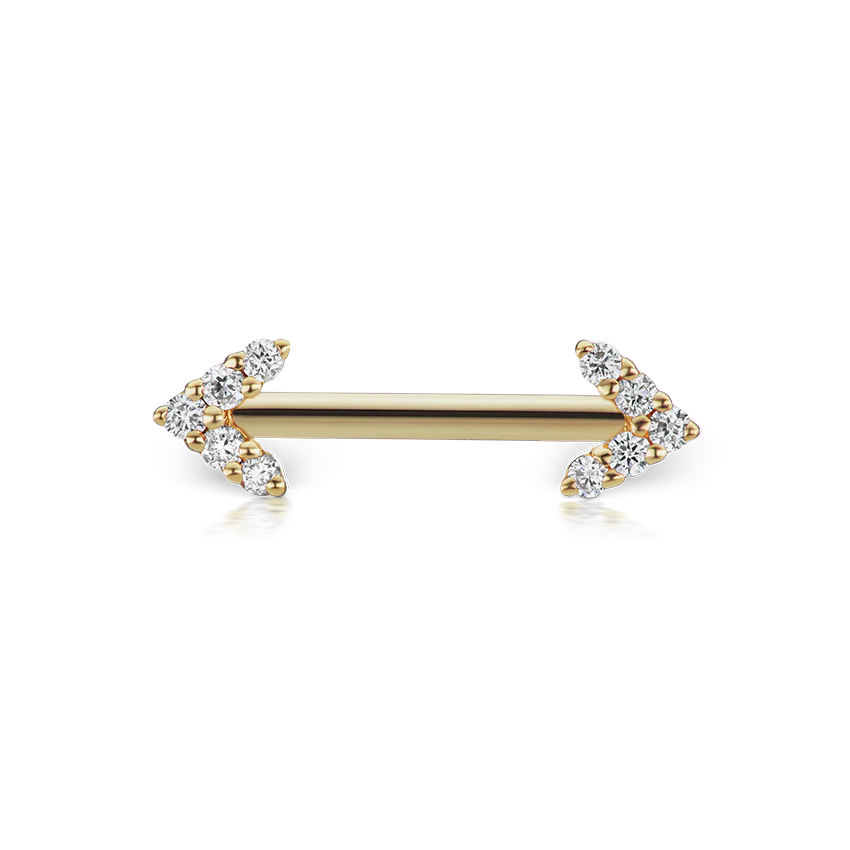 Double Diamond Arrow Nipple Barbell - Image 48