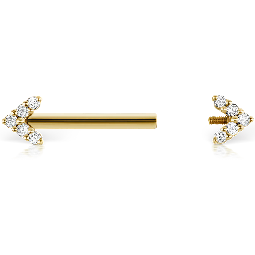 Double Diamond Arrow Nipple Barbell - Image 61