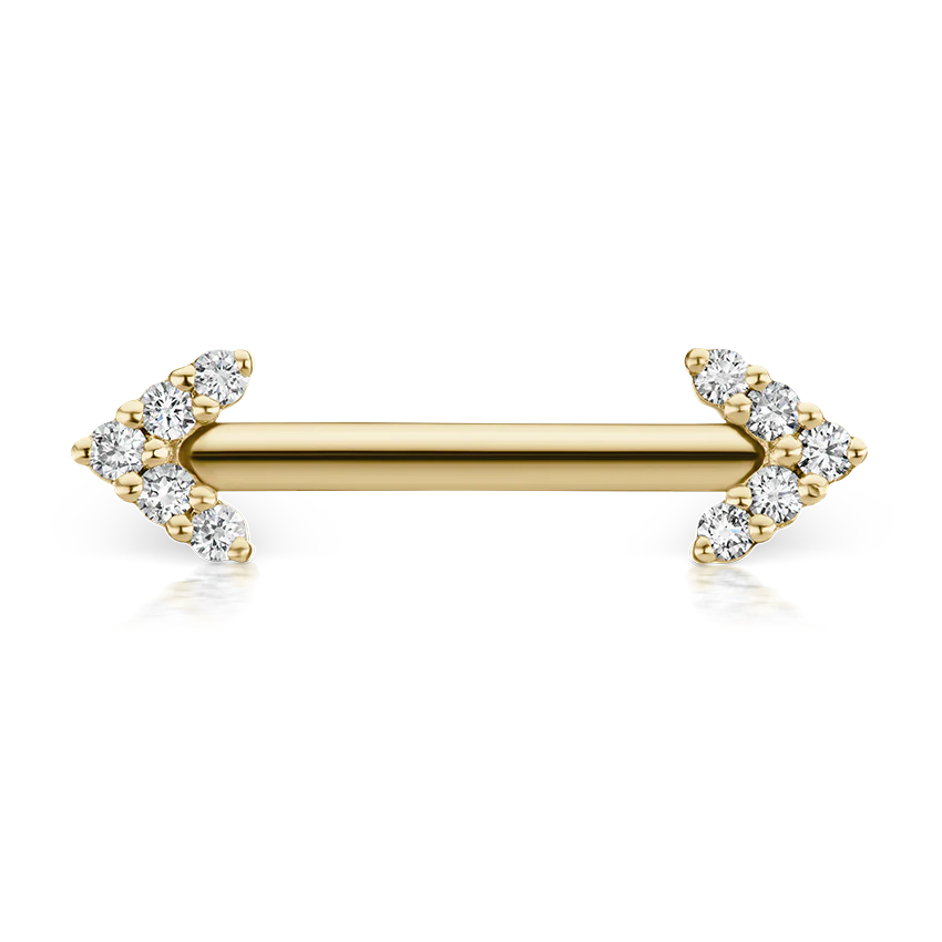 Double Diamond Arrow Nipple Barbell - Image 70