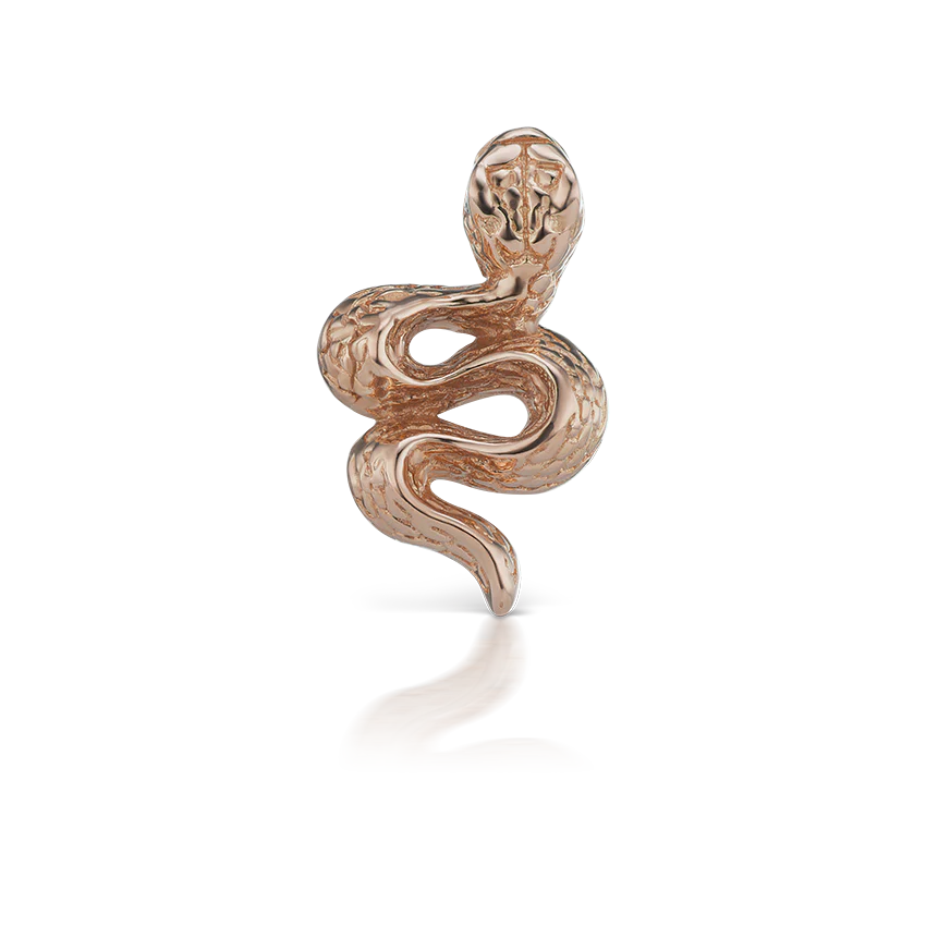 Engraved Snake with Diamond Eyes Threaded Stud Earring With Titanium Backing - Image 15