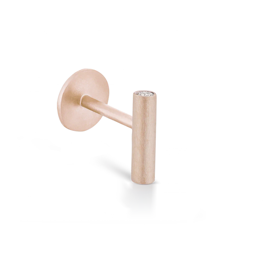 Matte Round Bar with Diamond Ends Threaded Stud Earring - Image 7