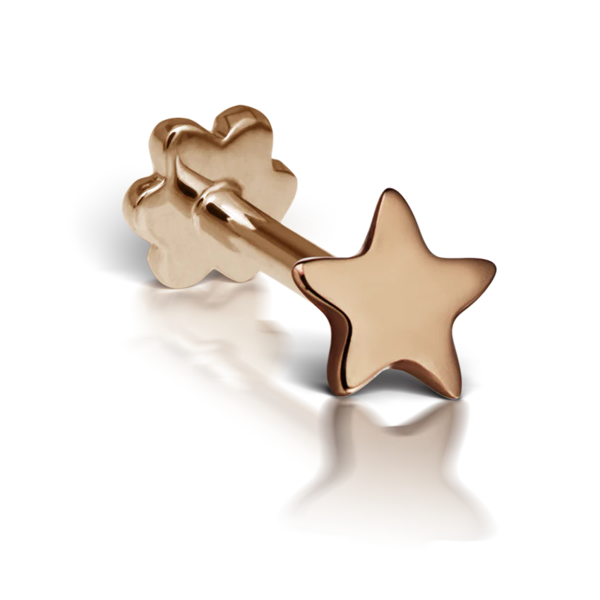 Plain Star Threaded Stud Earring - Image 10