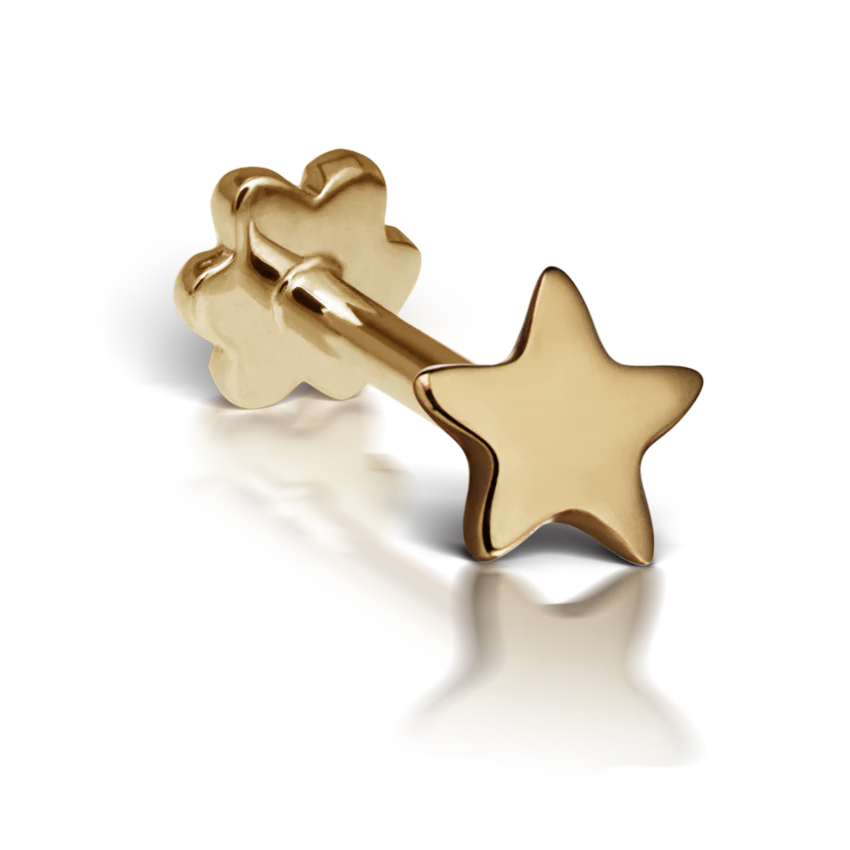 Plain Star Threaded Stud Earring - Image 6