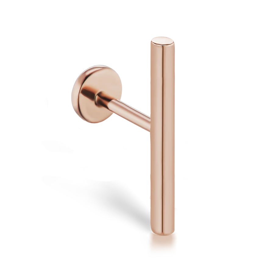 Polished Round Bar Threaded Stud Earring - Image 19