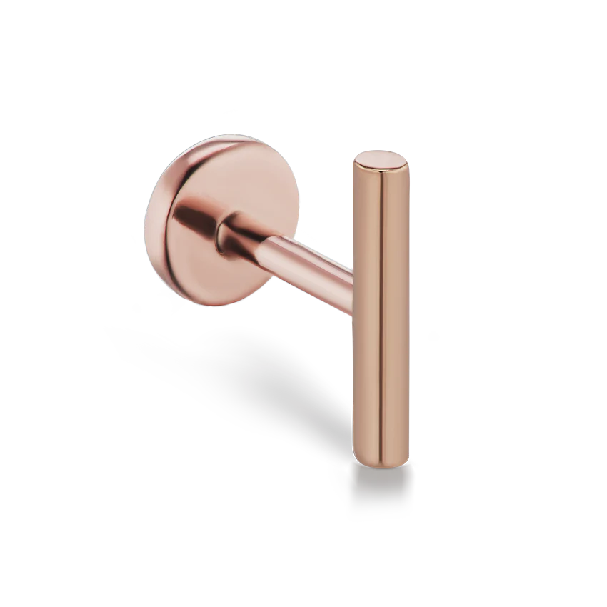 Polished Round Bar Threaded Stud Earring - Image 24