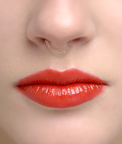 Single Chain Septum Spinner - Image 15